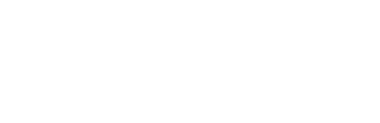 The Self-Conscious Universe Logo